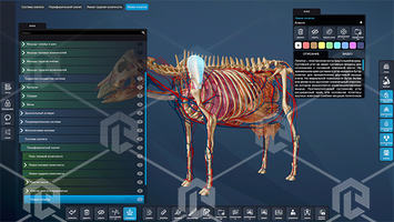 Виртуальный учебный комплекс «Интерактивный трехмерный атлас по ветеринарии" / АгроВет